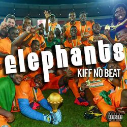 Cover of Elephants