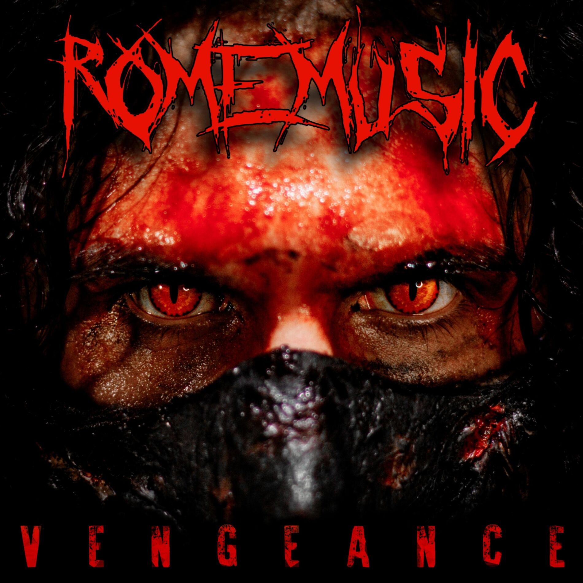 Album cover of Vengeance