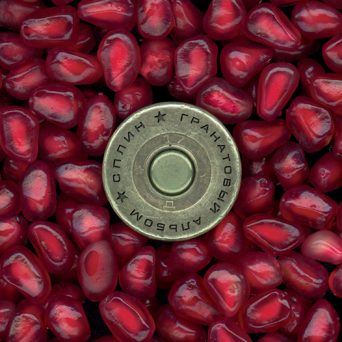 Album picture of Гранатовый альбом