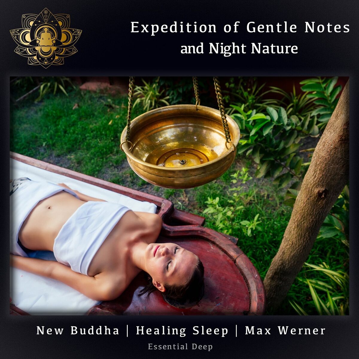 Album cover of Expedition of Gentle Notes and Night Nature