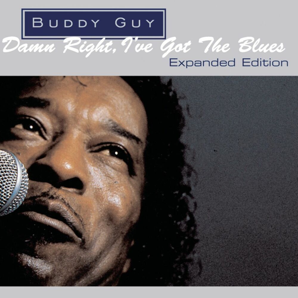 Picture of Damn Right, I've Got The Blues