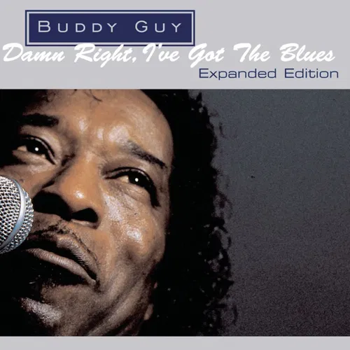 Damn Right, I've Got The Blues — cover art