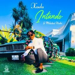 Cover of Intando