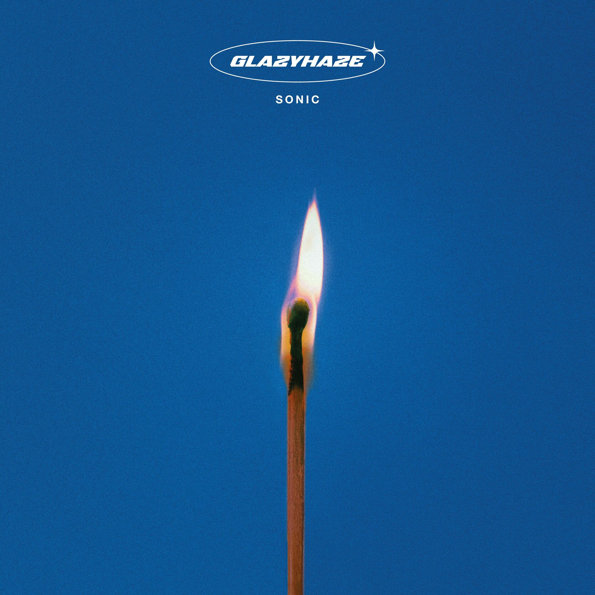 Album cover of SLAP