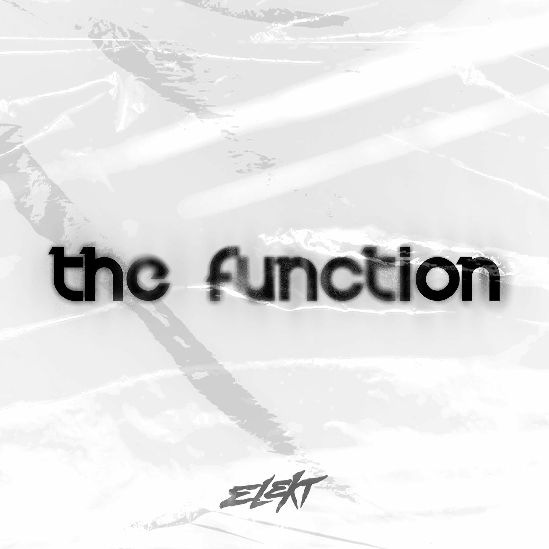 Album cover of The Function (feat. The Pack) [Radio Edit]