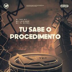 Cover of Tu Sabe o Procedimento