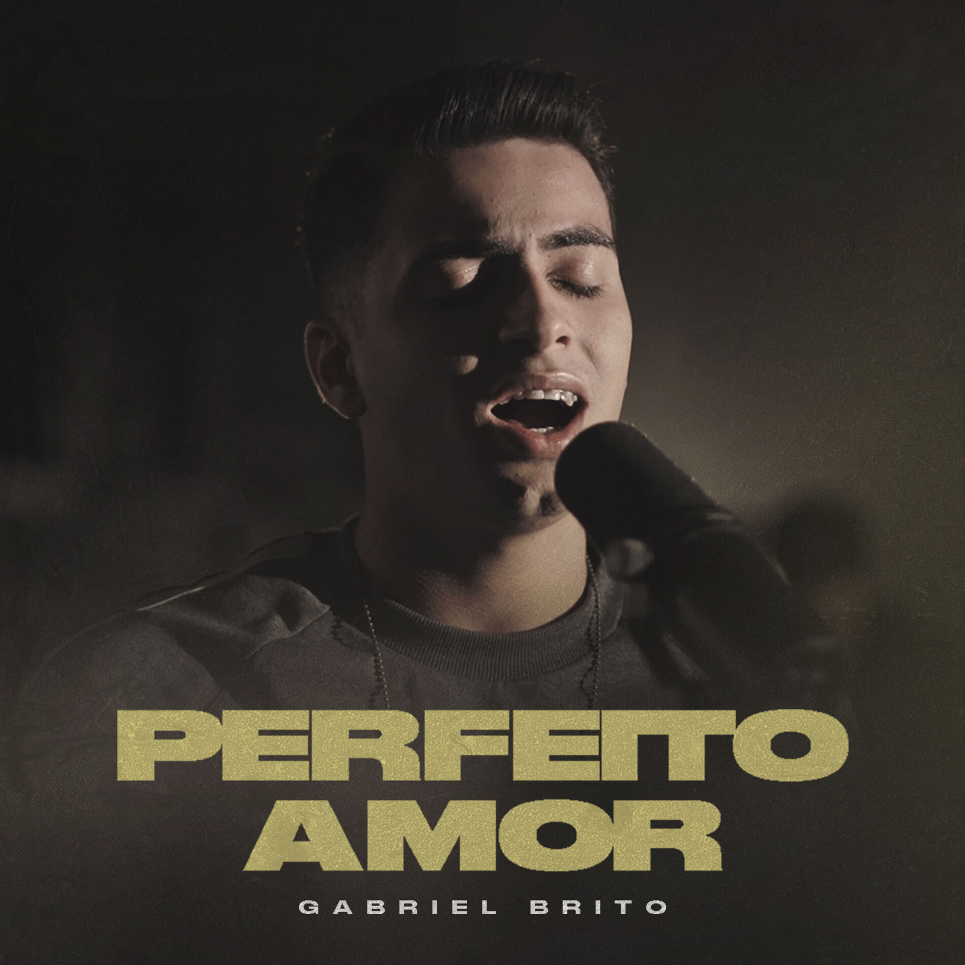 Album cover of Perfeito Amor