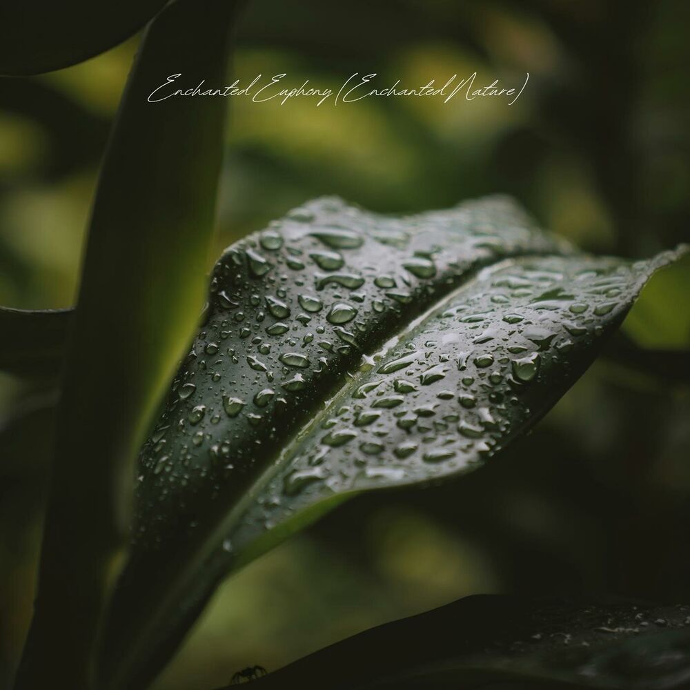 Picture of Enchanted Euphony (Enchanted Nature)
