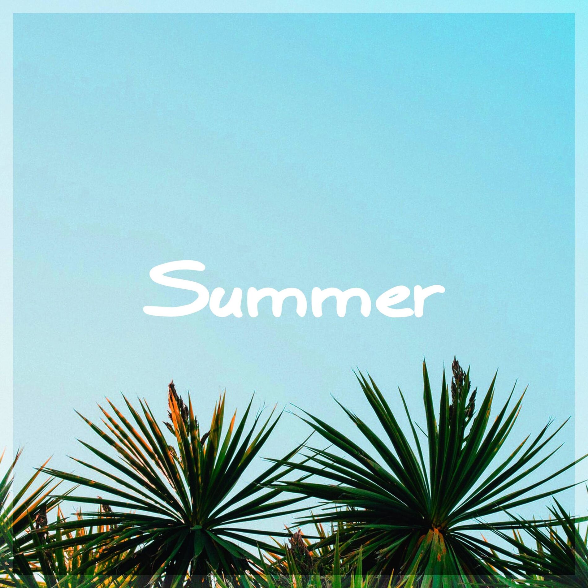 Album cover of Summer