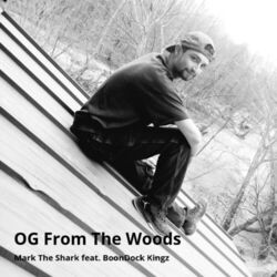 Cover of Og from the Woods