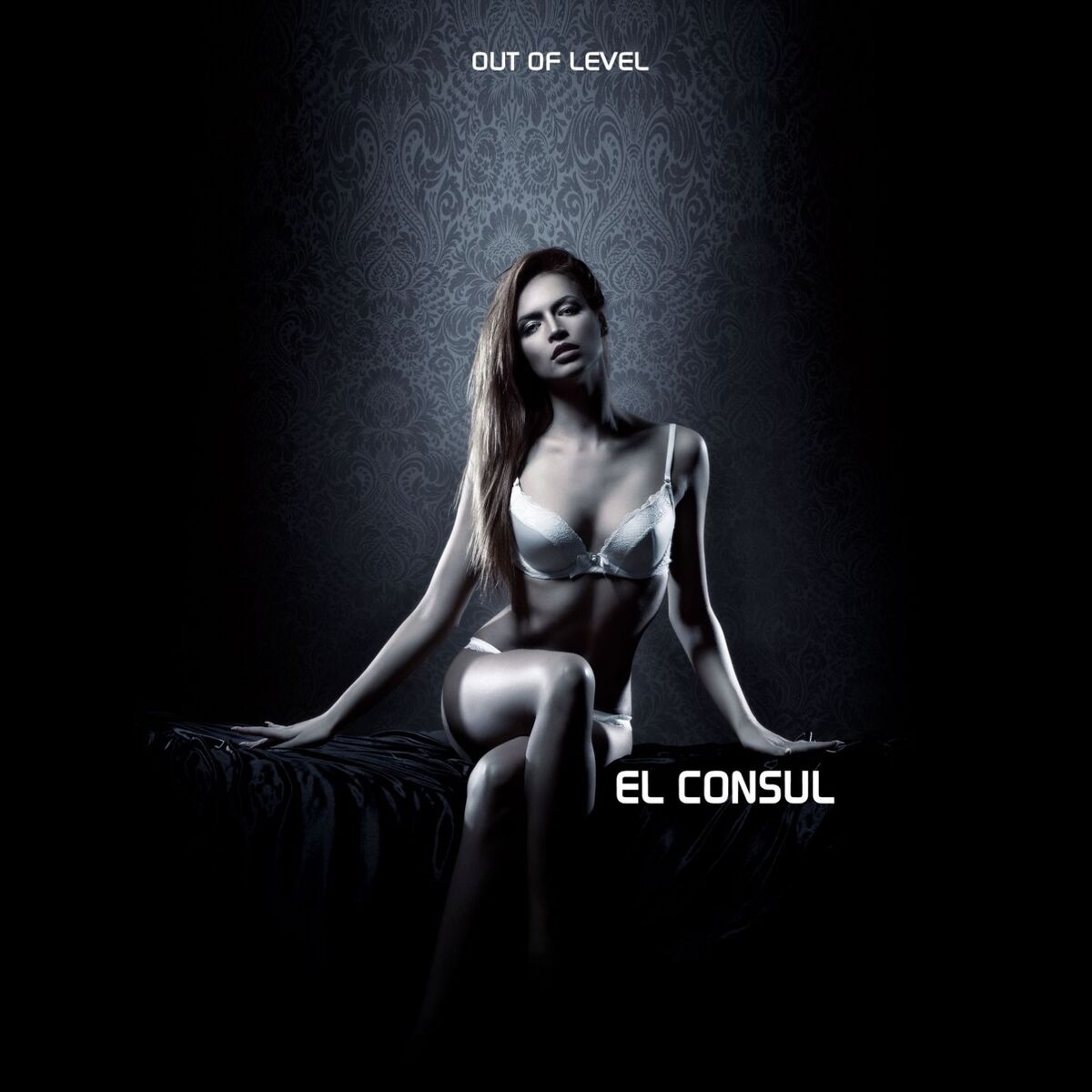 Album cover of Out Of Level