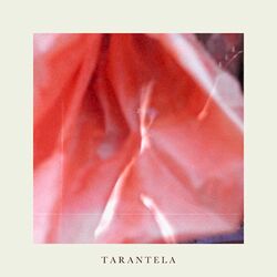 Cover of Tarantela