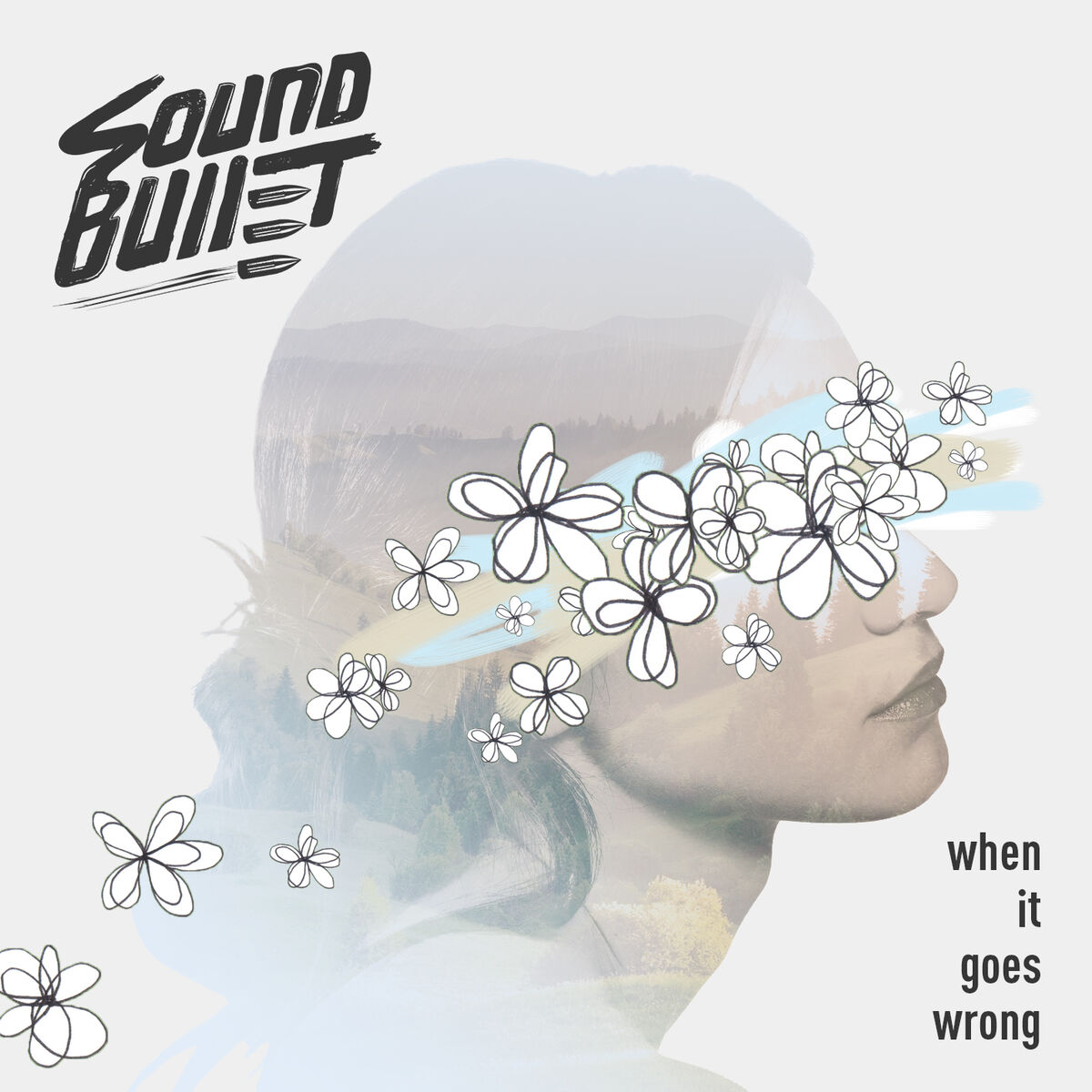 Album cover of When It Goes Wrong
