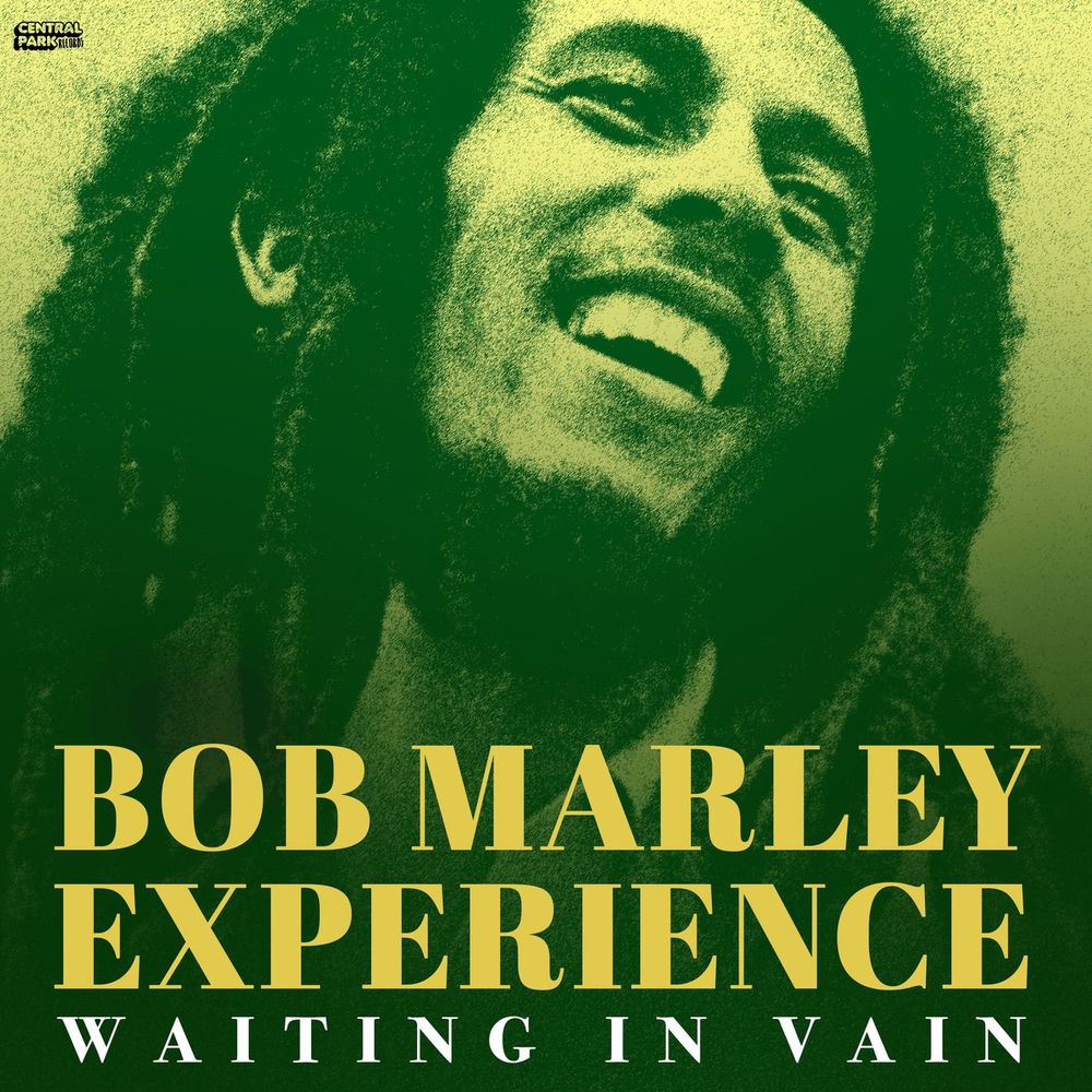 Pochette du titre Waiting in Vain