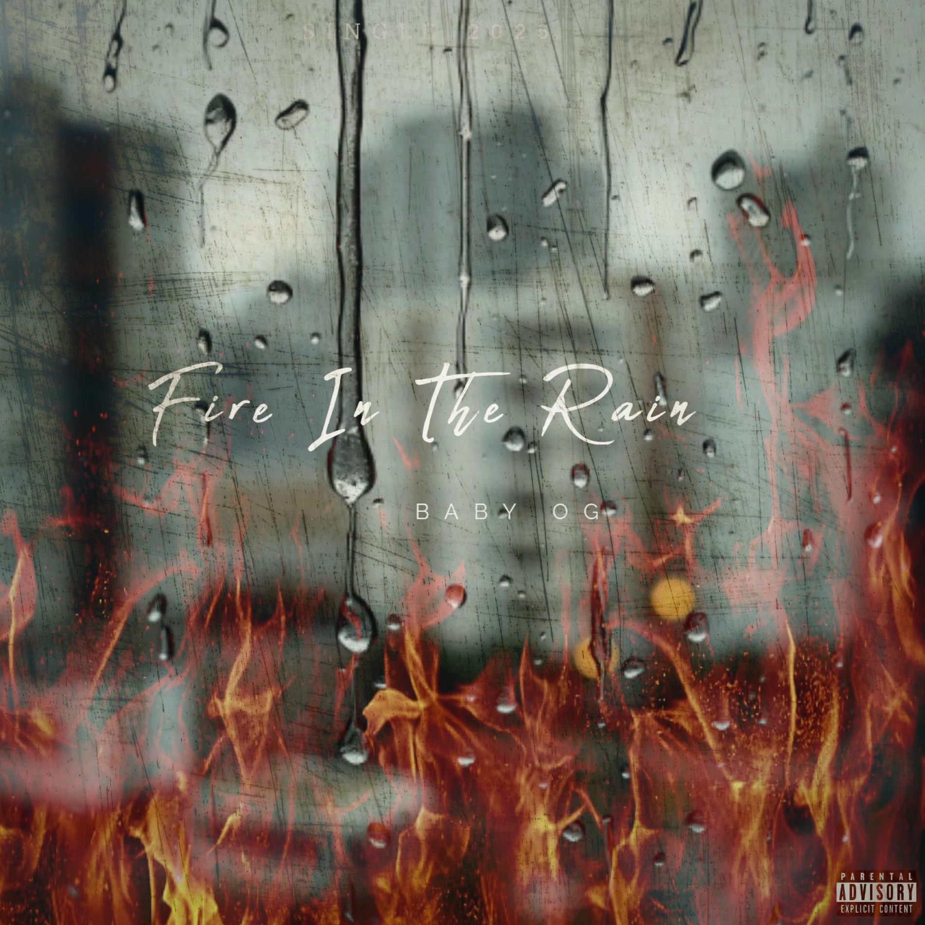Album cover of Fire In The Rain