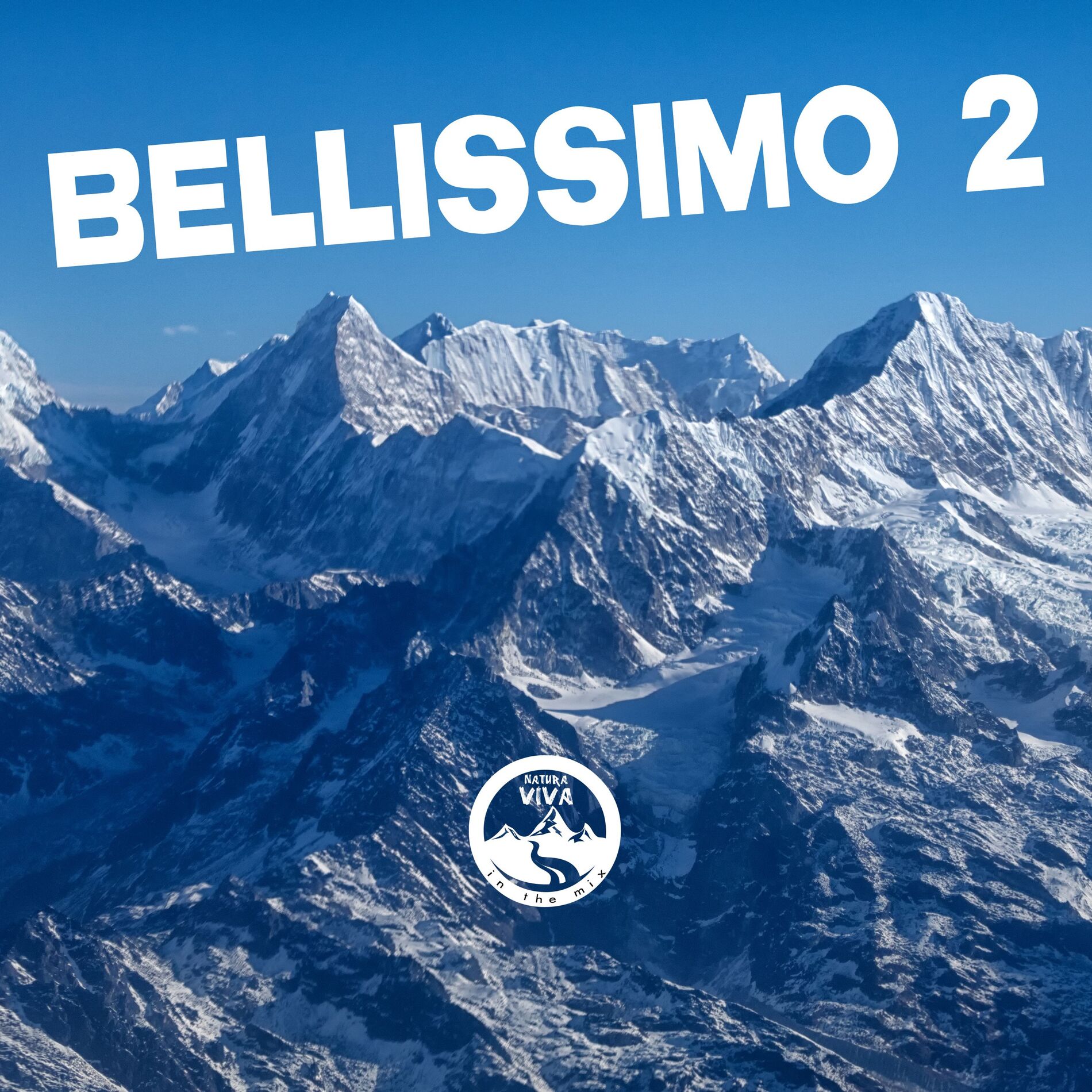 Album cover of Bellissimo 2