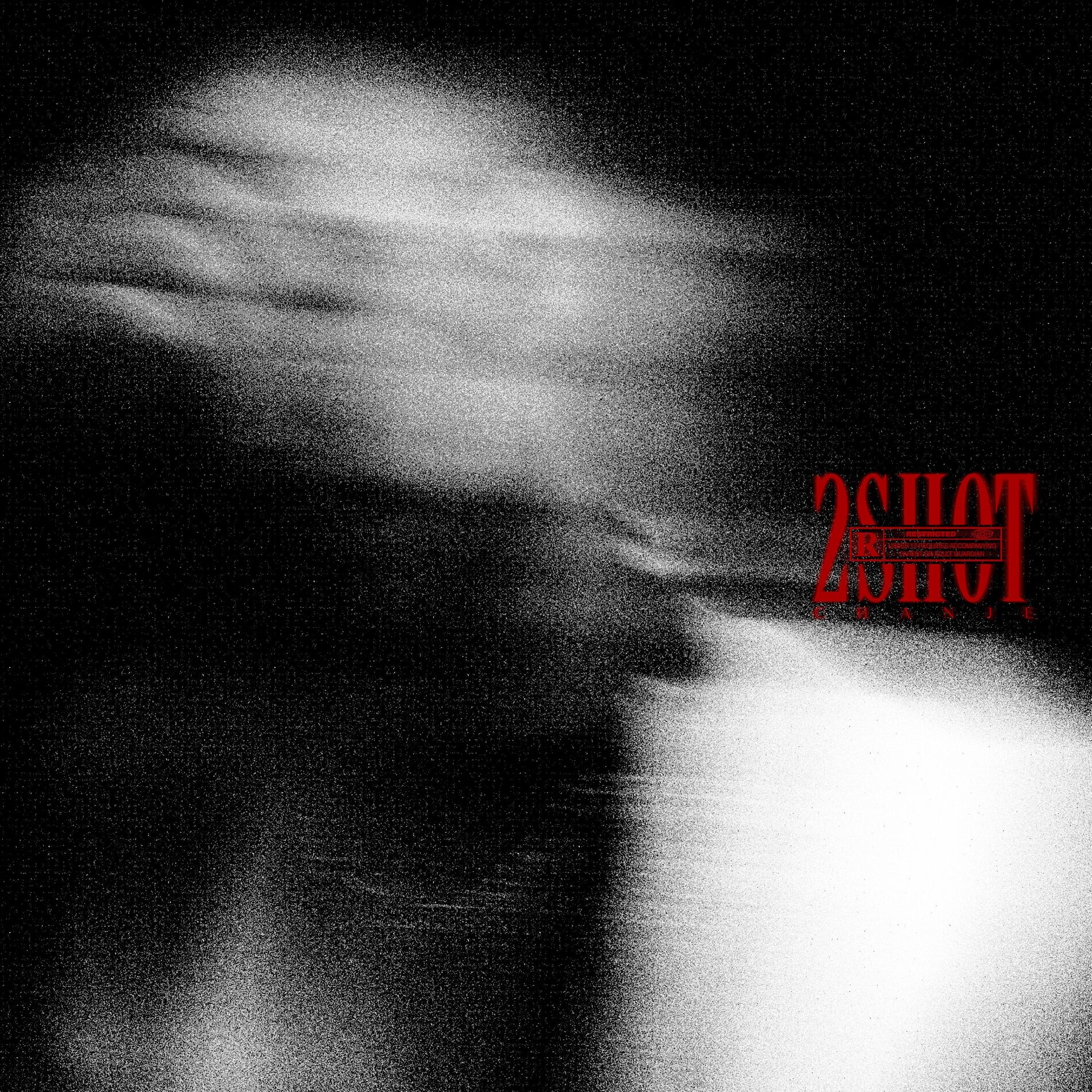 Album cover of 2SHOT
