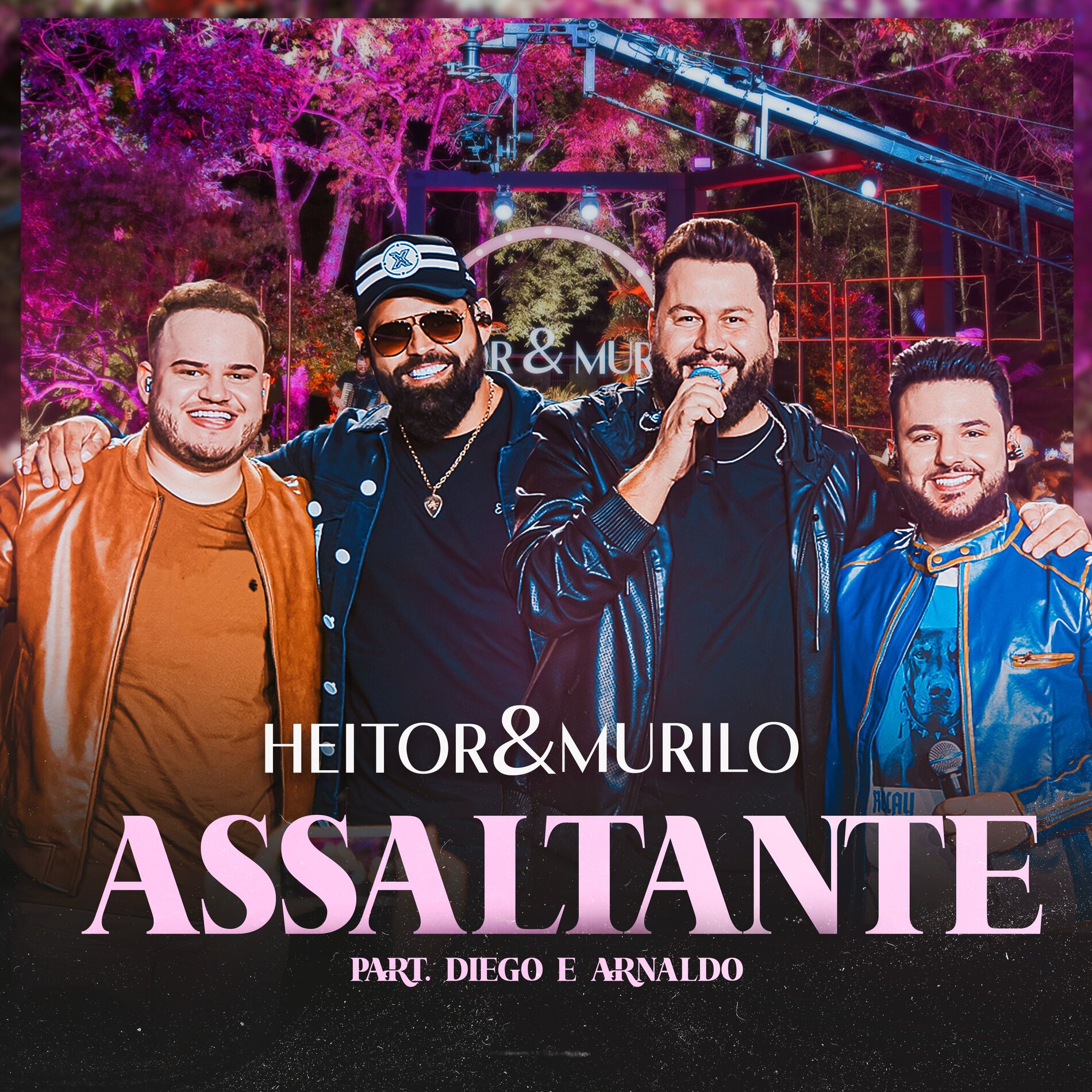 Album cover of Assaltante (Ao Vivo)