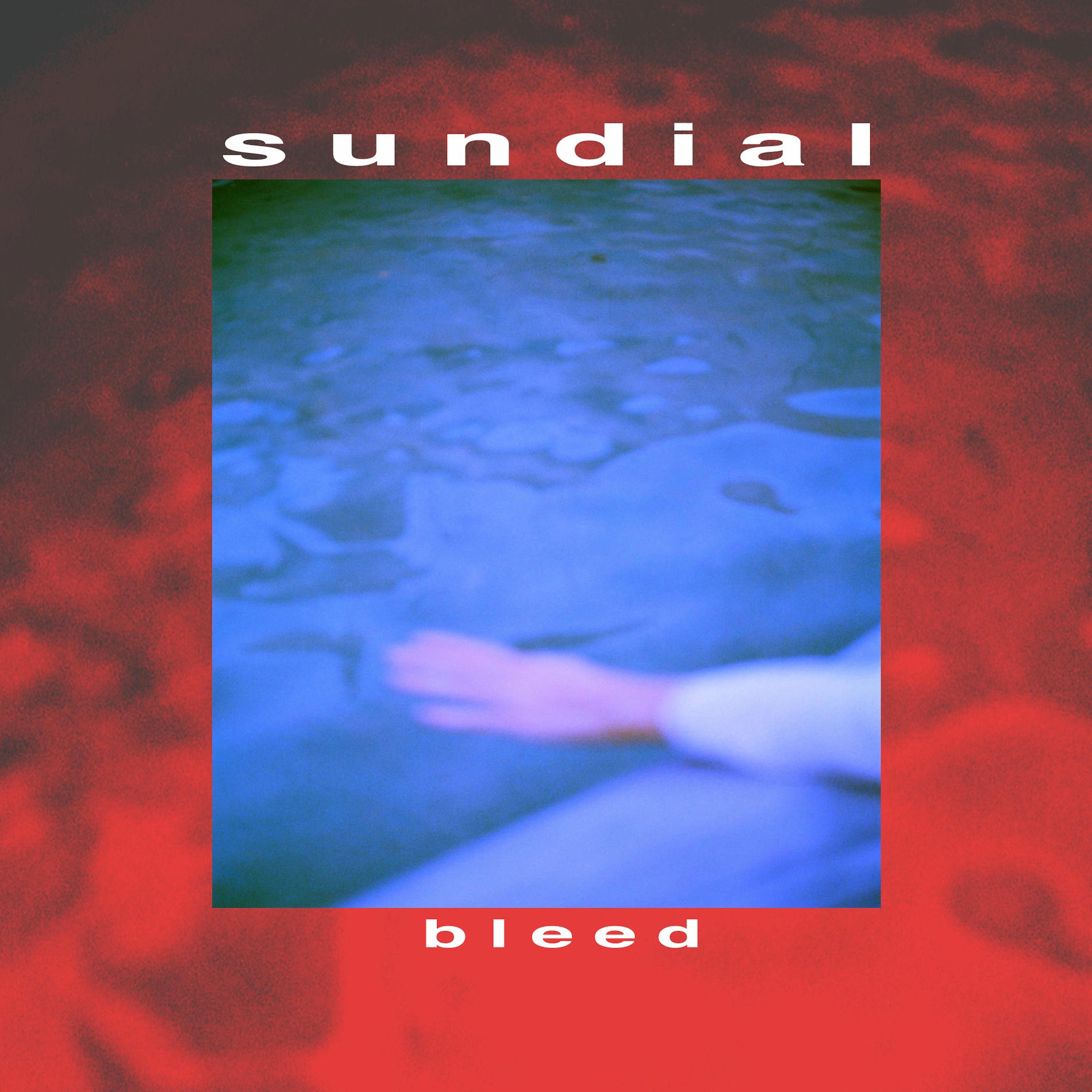 Album cover of Bleed