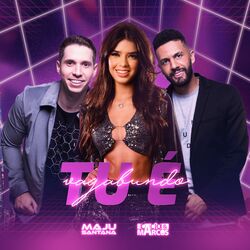 Cover of Tu é Vagabundo
