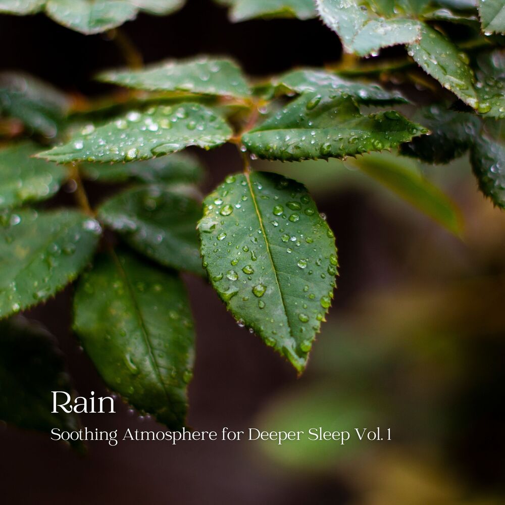 Picture of Rain: Soothing Atmosphere for Deeper Sleep Vol. 1
