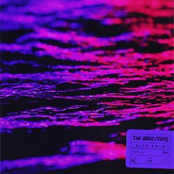 Cover of NITE SWIM