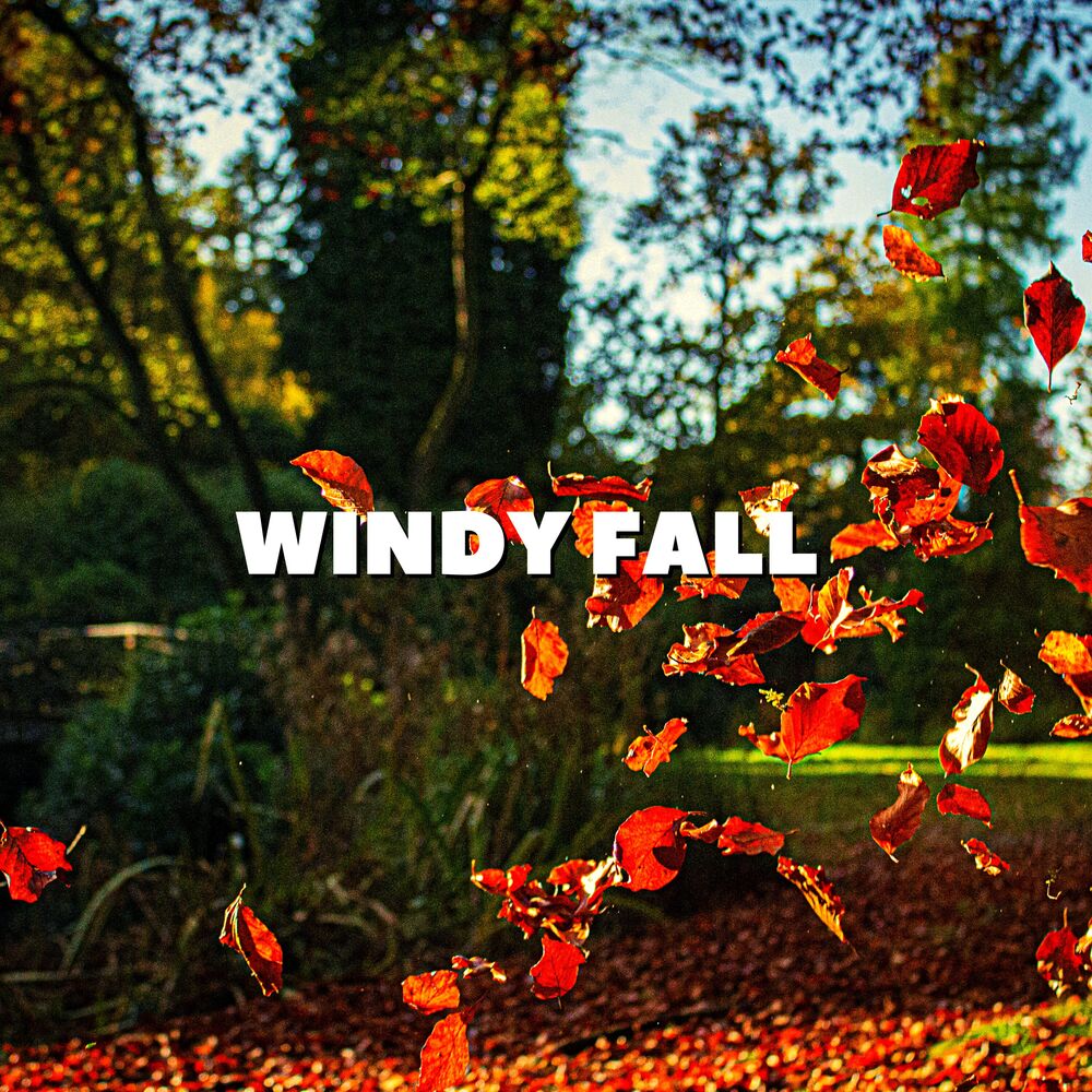 Picture of Windy Fall