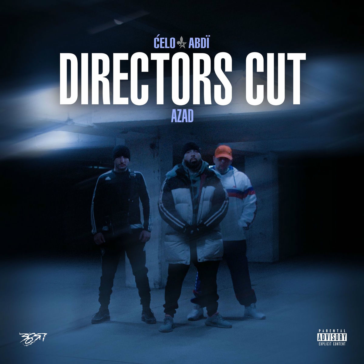 Album cover of DIRECTORS CUT