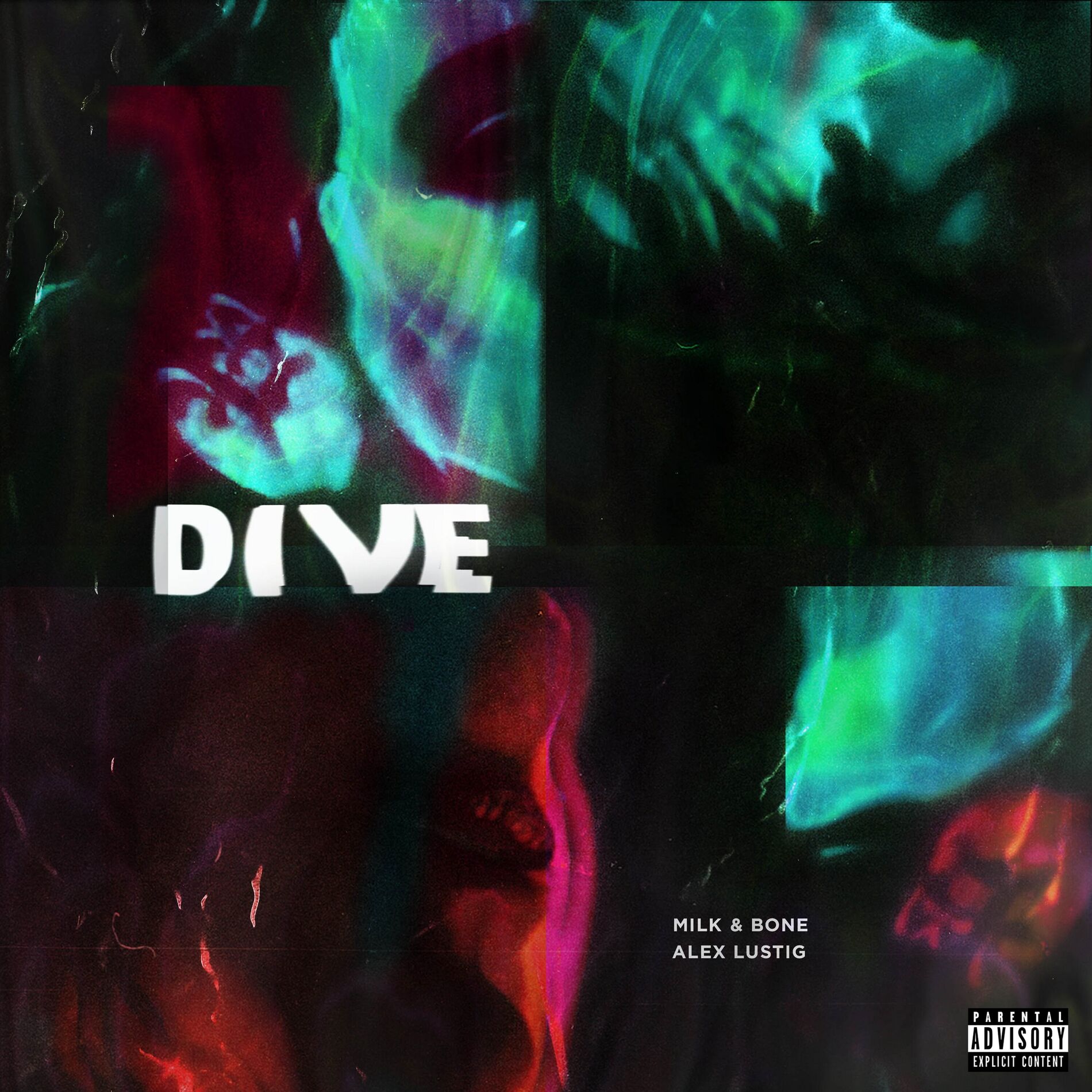 Album cover of DIVE