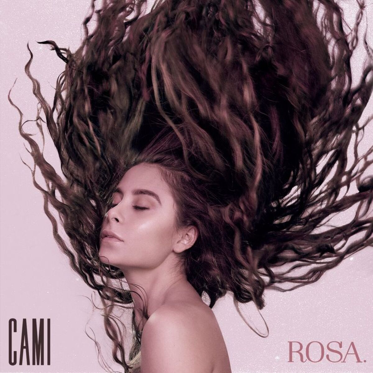 Album cover of Querida Rosa