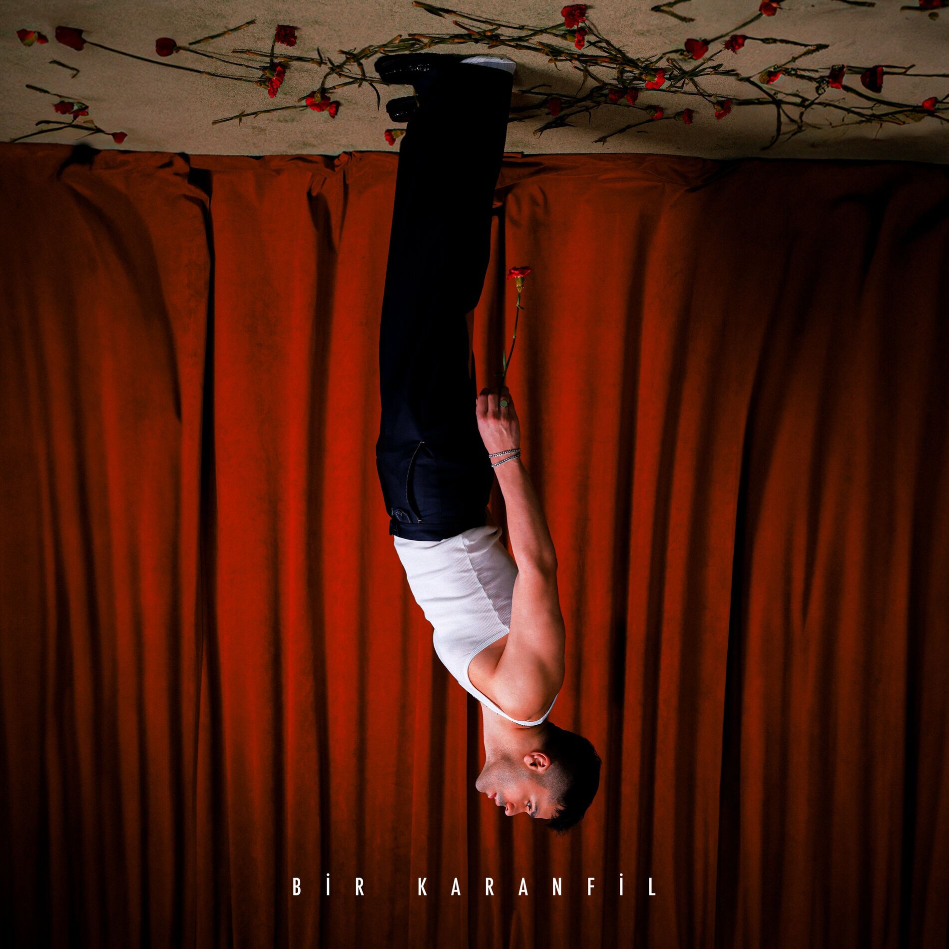 Album cover of Bir Karanfil