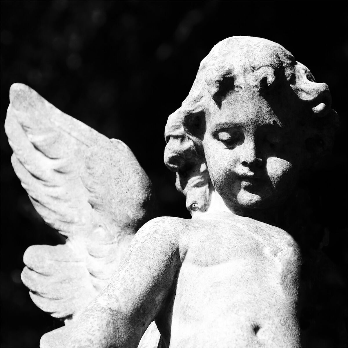 Album cover of Passion Depression