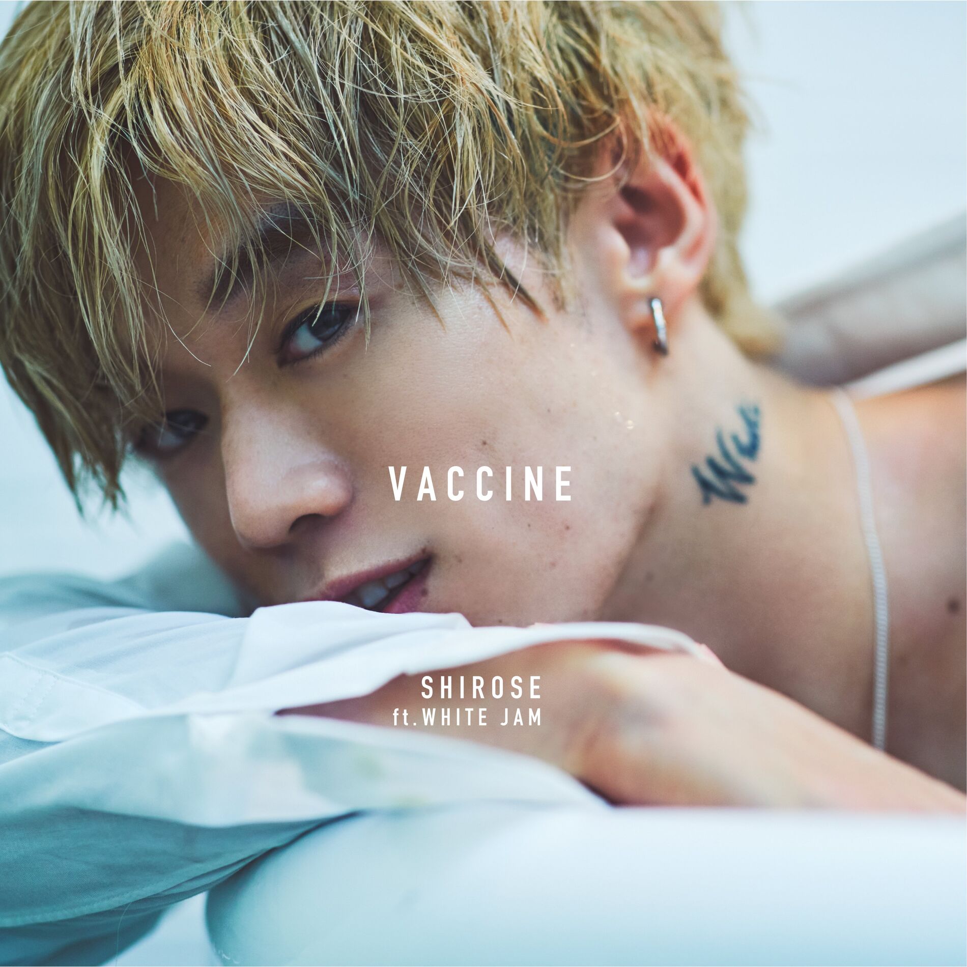 SHIROSE 1st Live DVD 