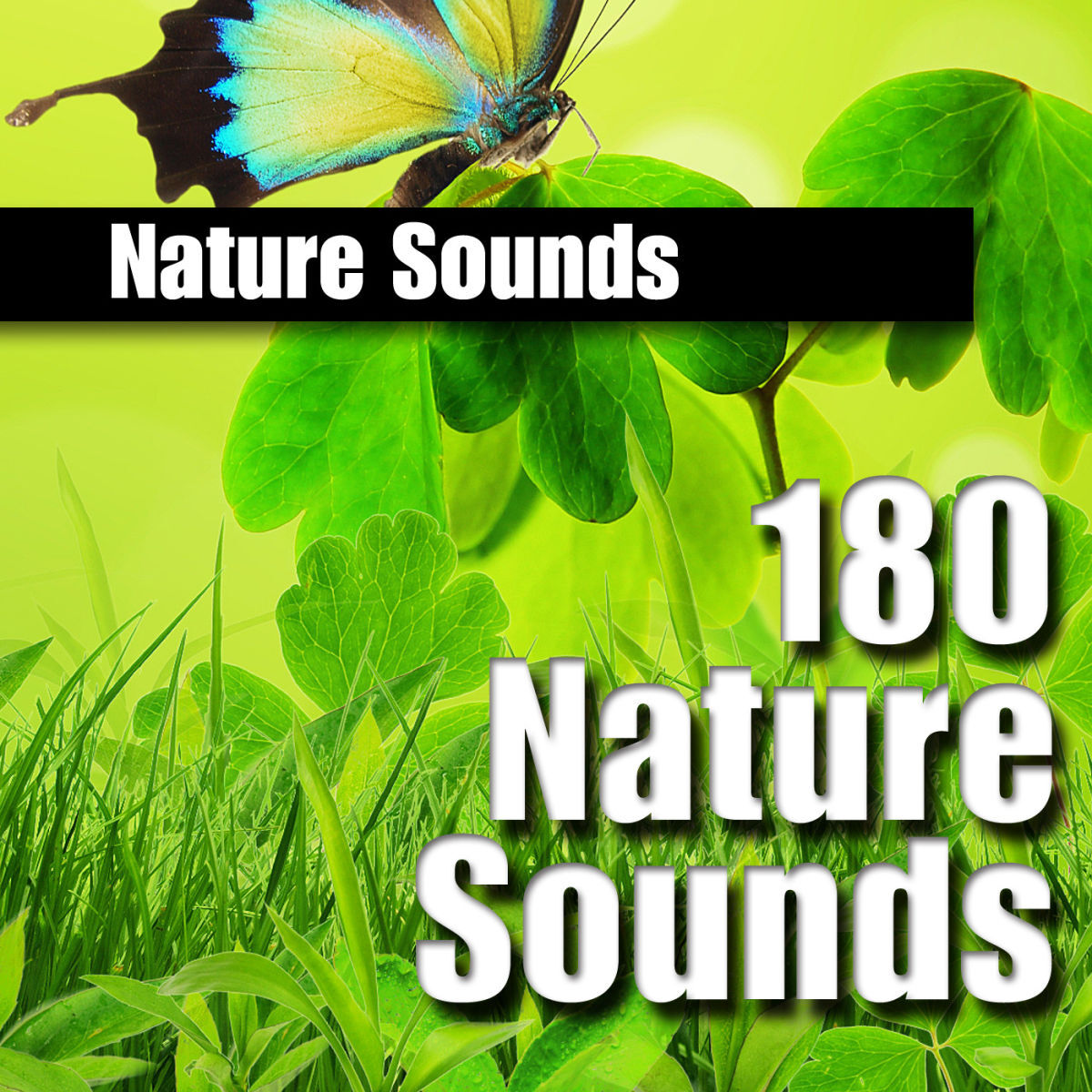 Album cover of 180 Nature Sounds