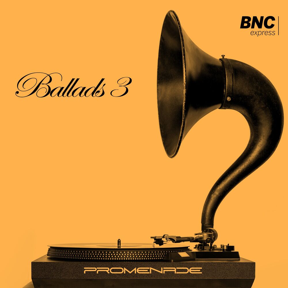 Picture of Ballads #3
