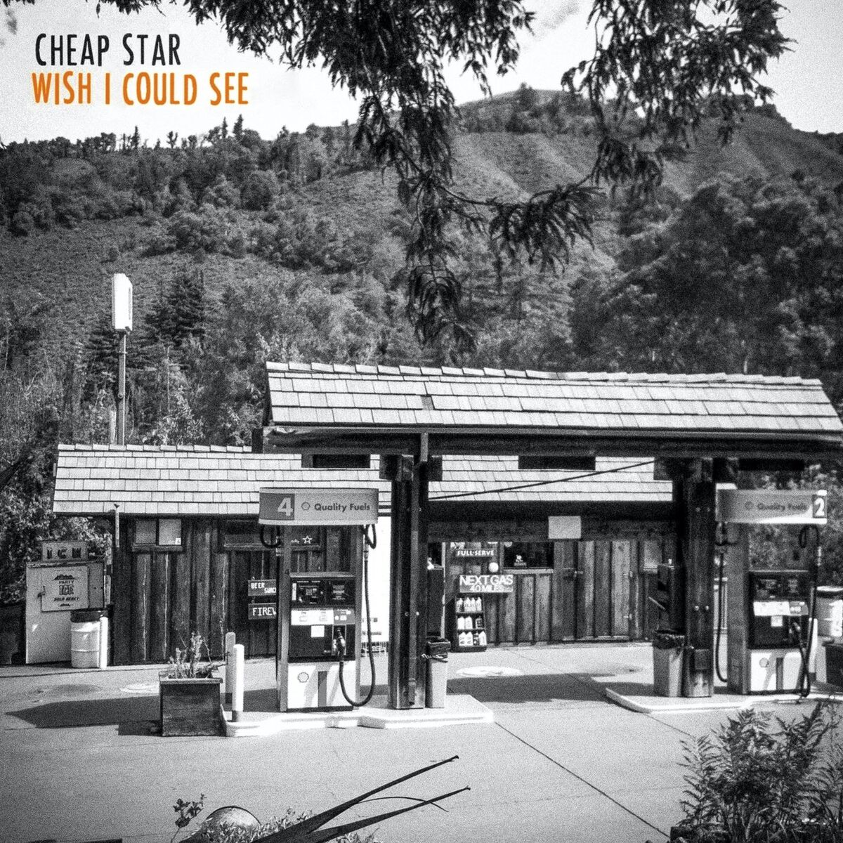 Album cover of Wish I Could See