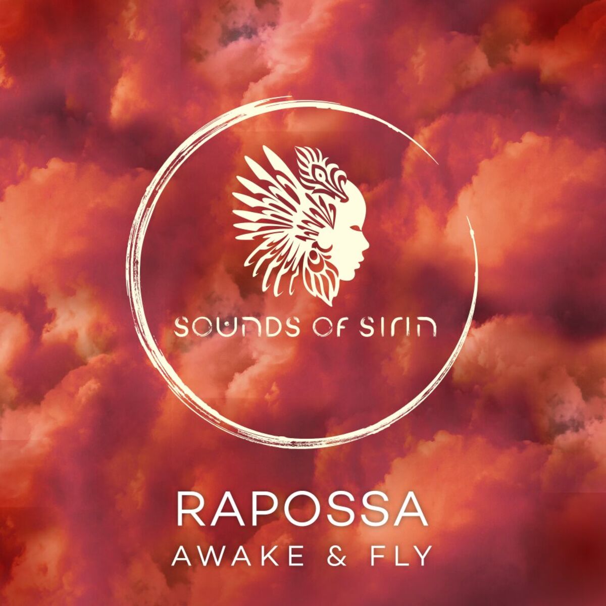 Album cover of Awake & Fly