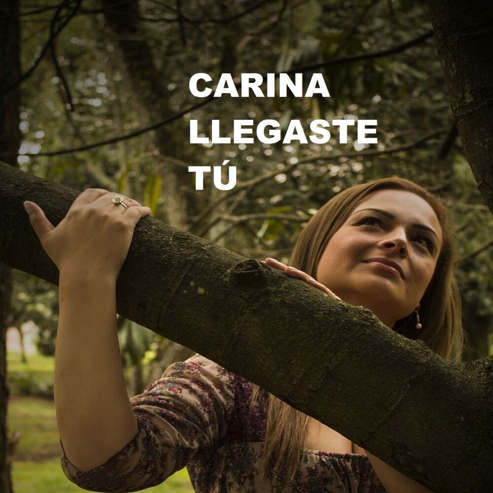 Picture of Llegaste Tu