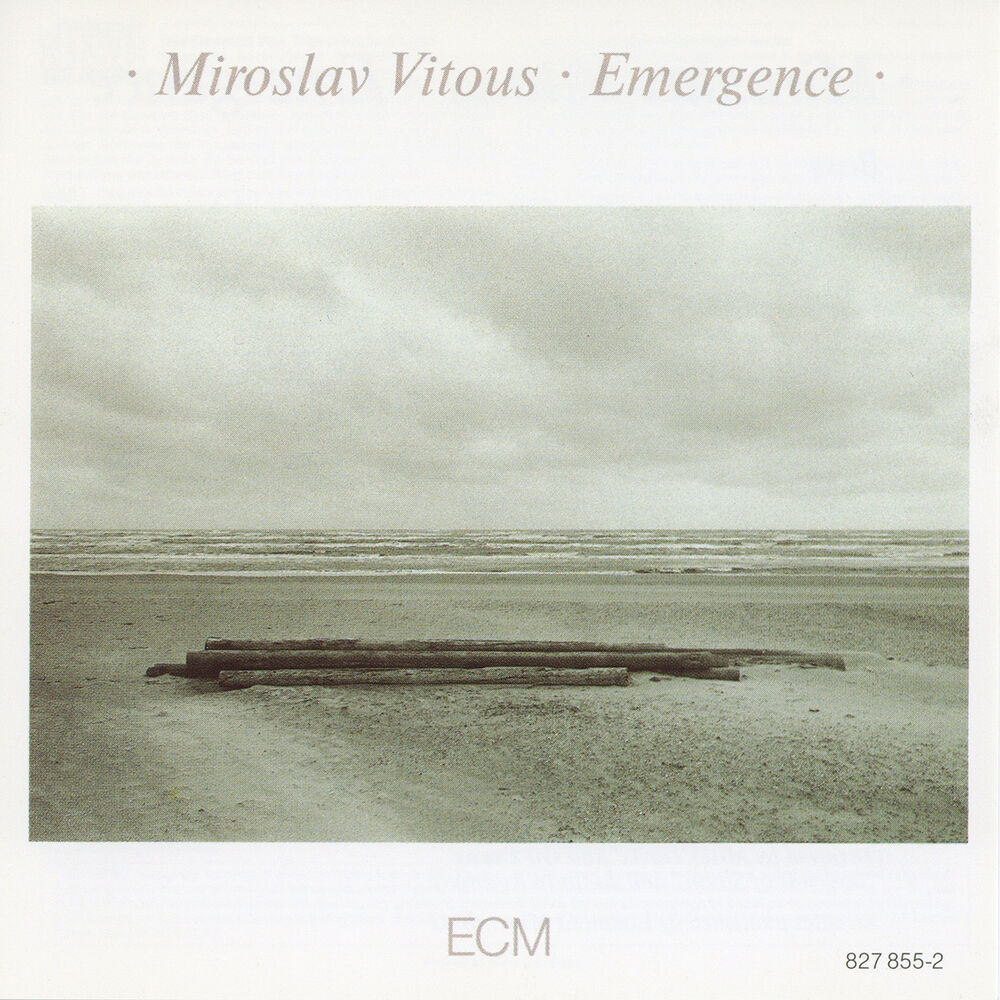 Picture of Emergence