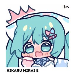 Cover of Hikaru Mirai e