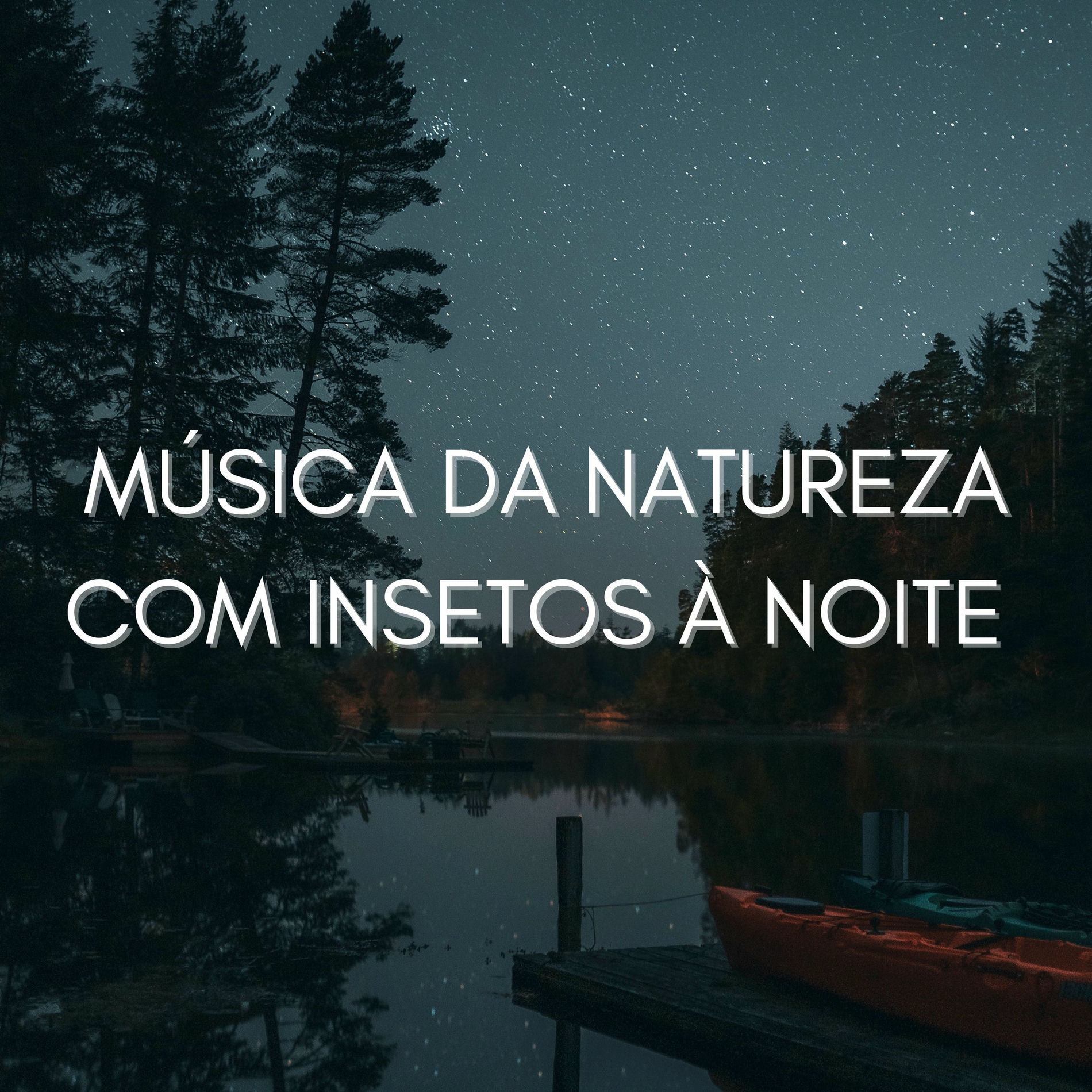 Album cover of Música Da Natureza Com Insetos À Noite