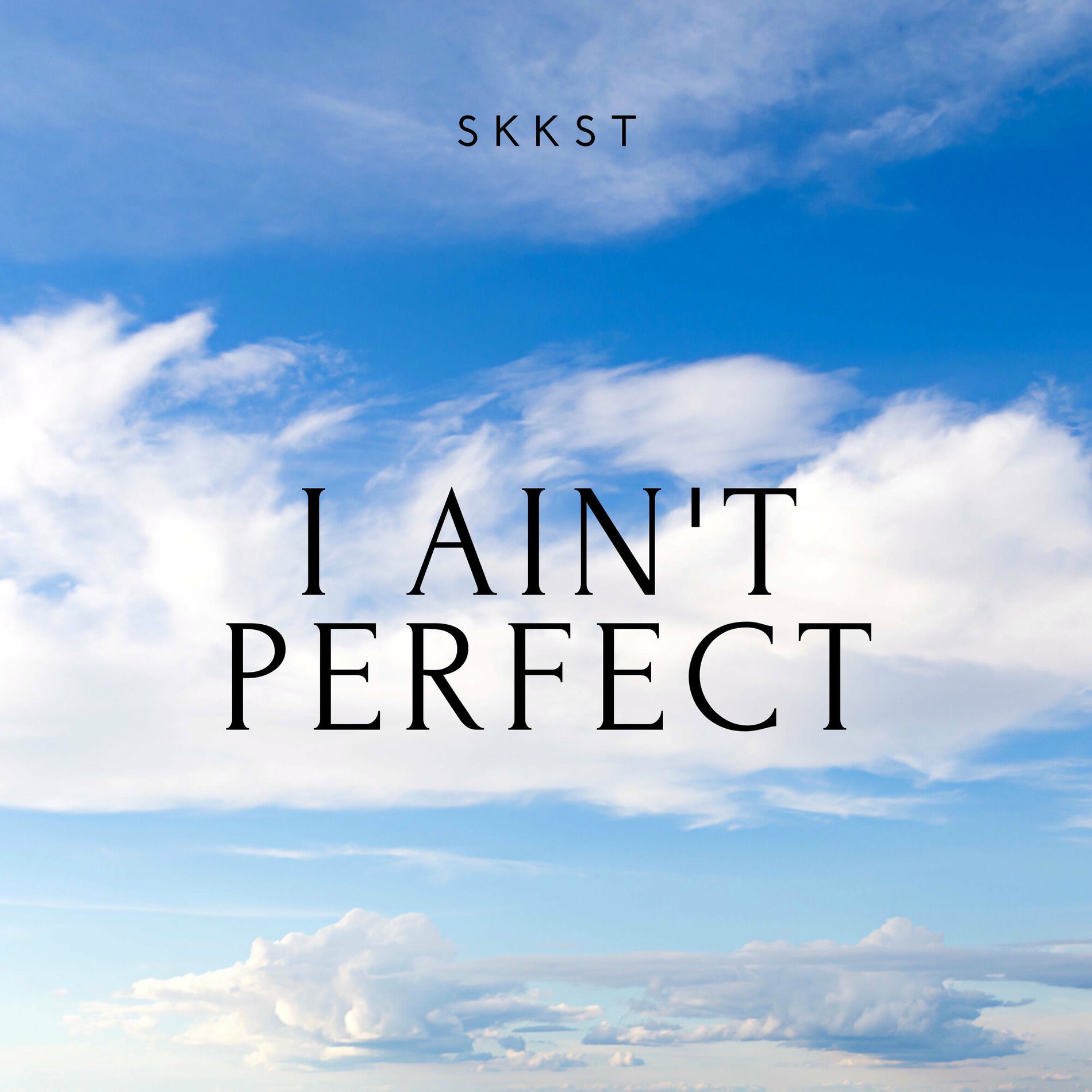 Album cover of I Aint Perfect