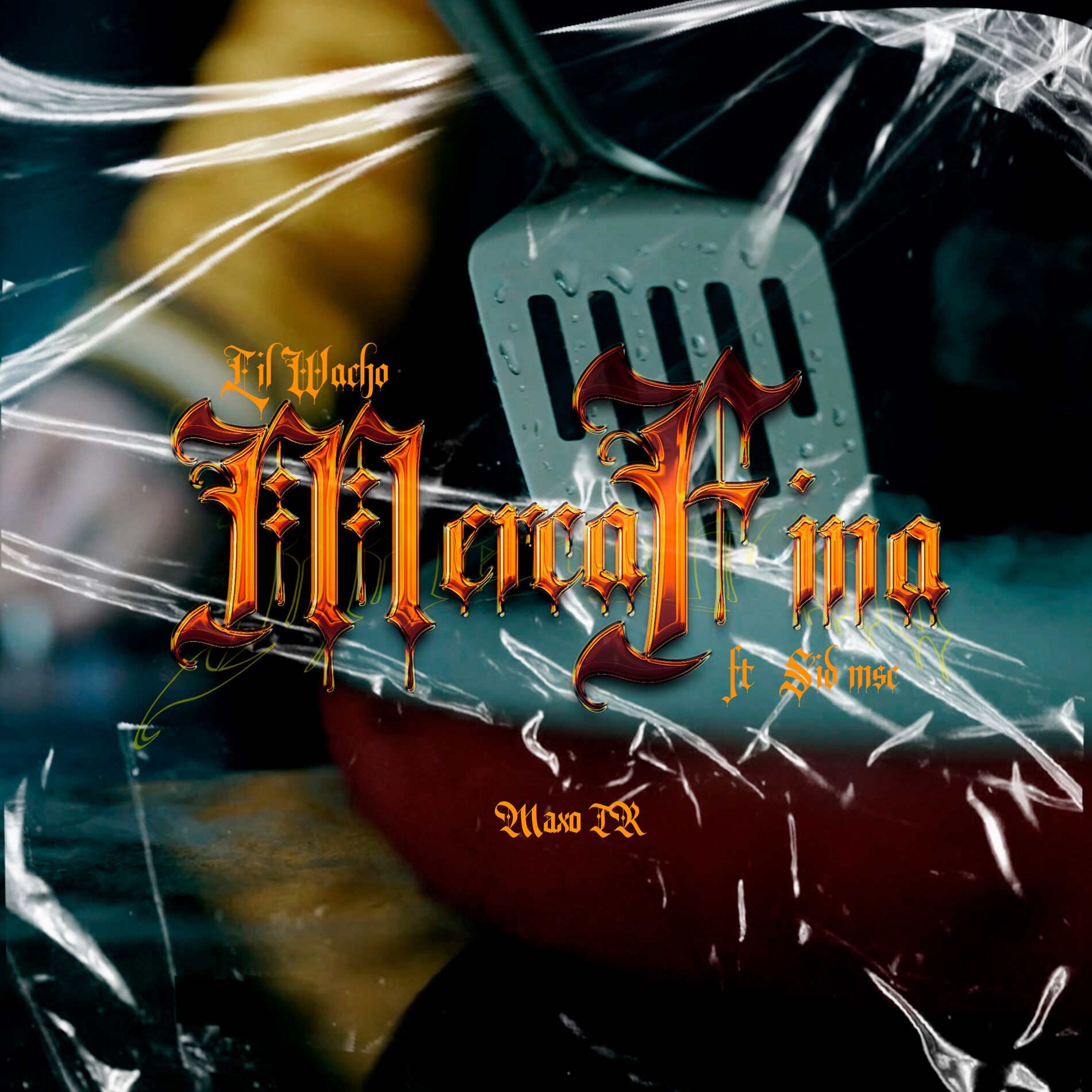 Album cover of Merca Fina