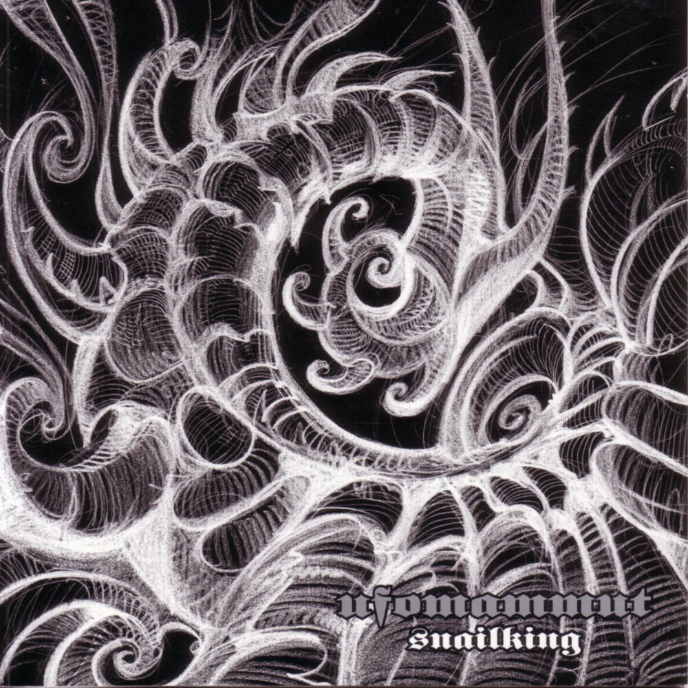 Picture of Snailking
