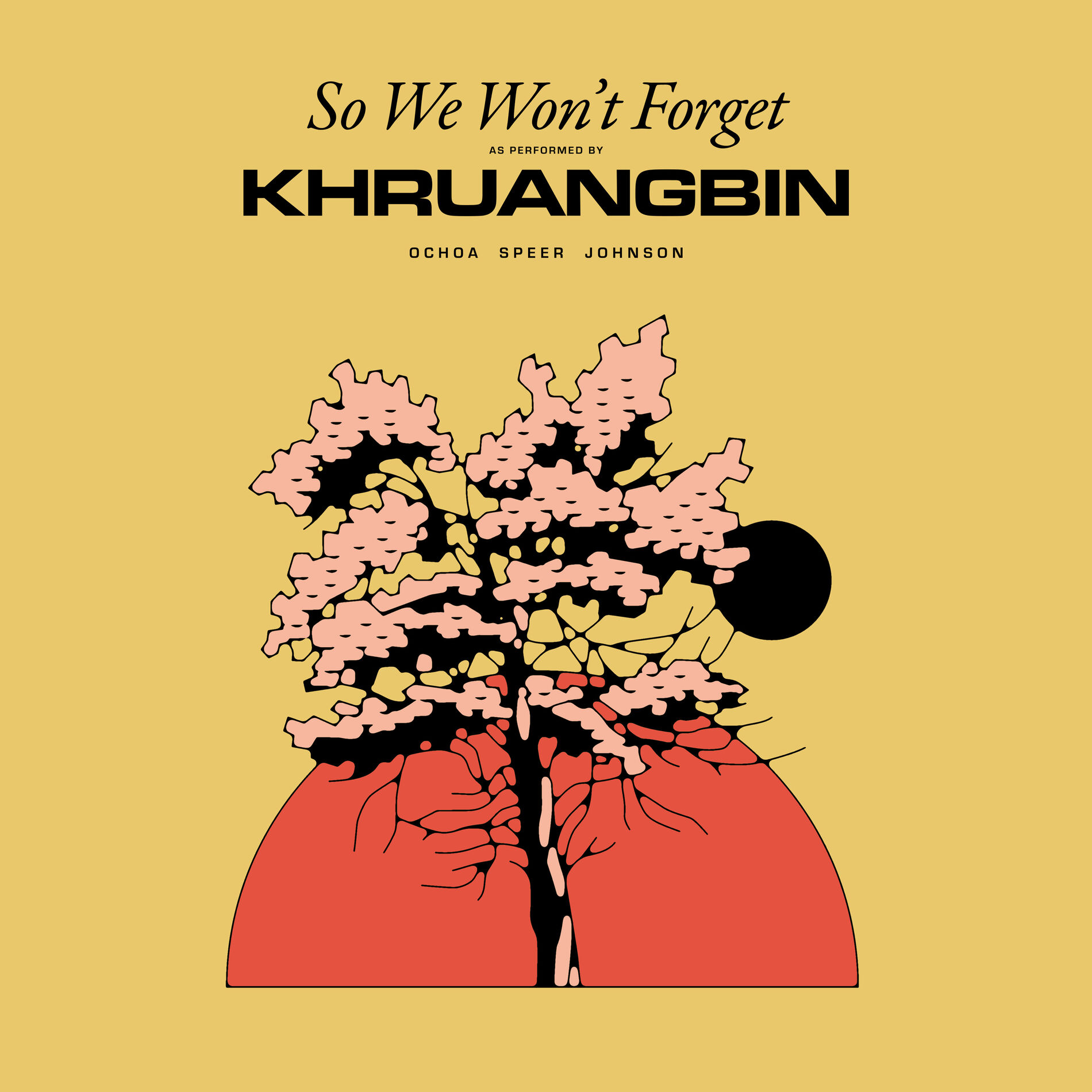 Album picture of So We Won't Forget