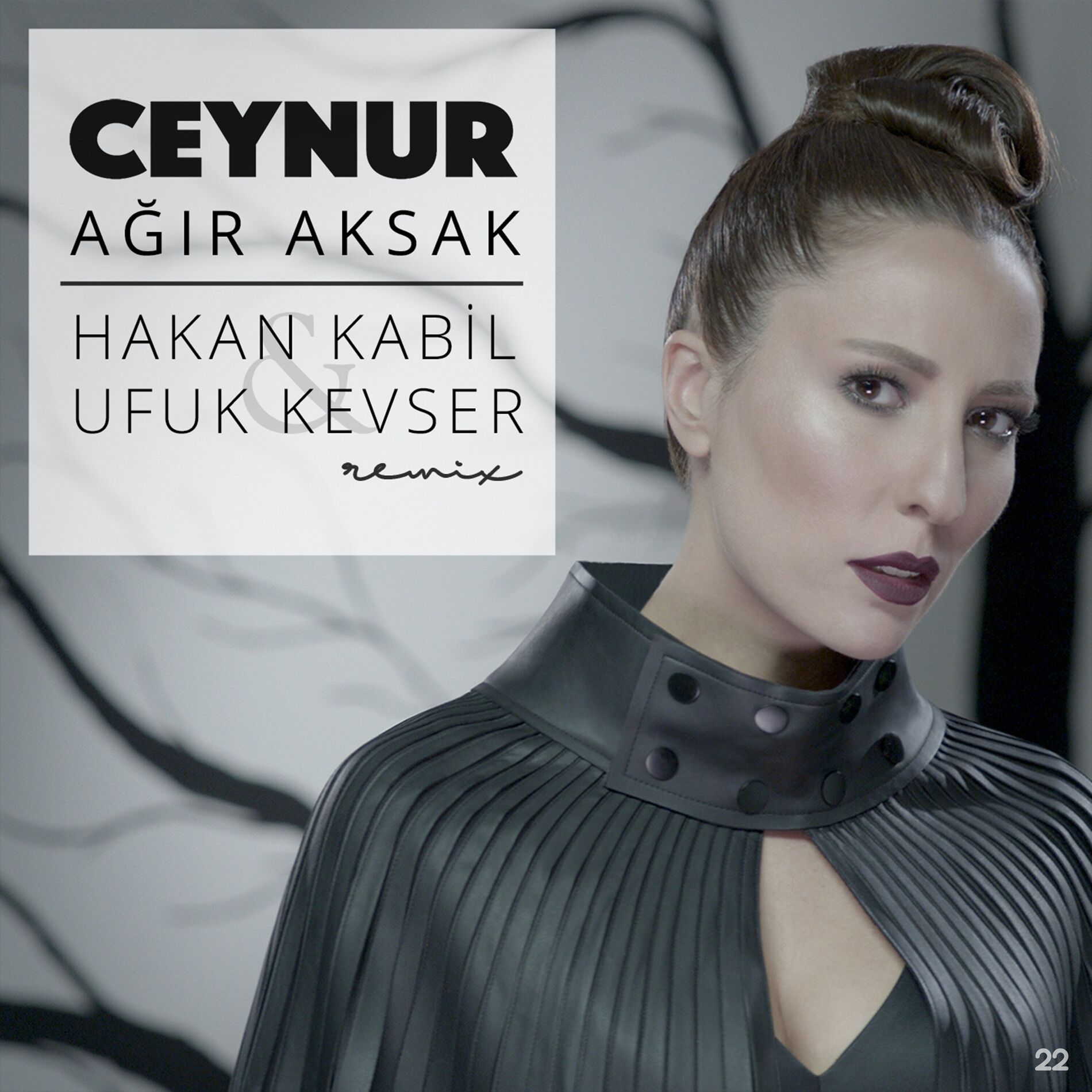 Album cover of Ağır Aksak