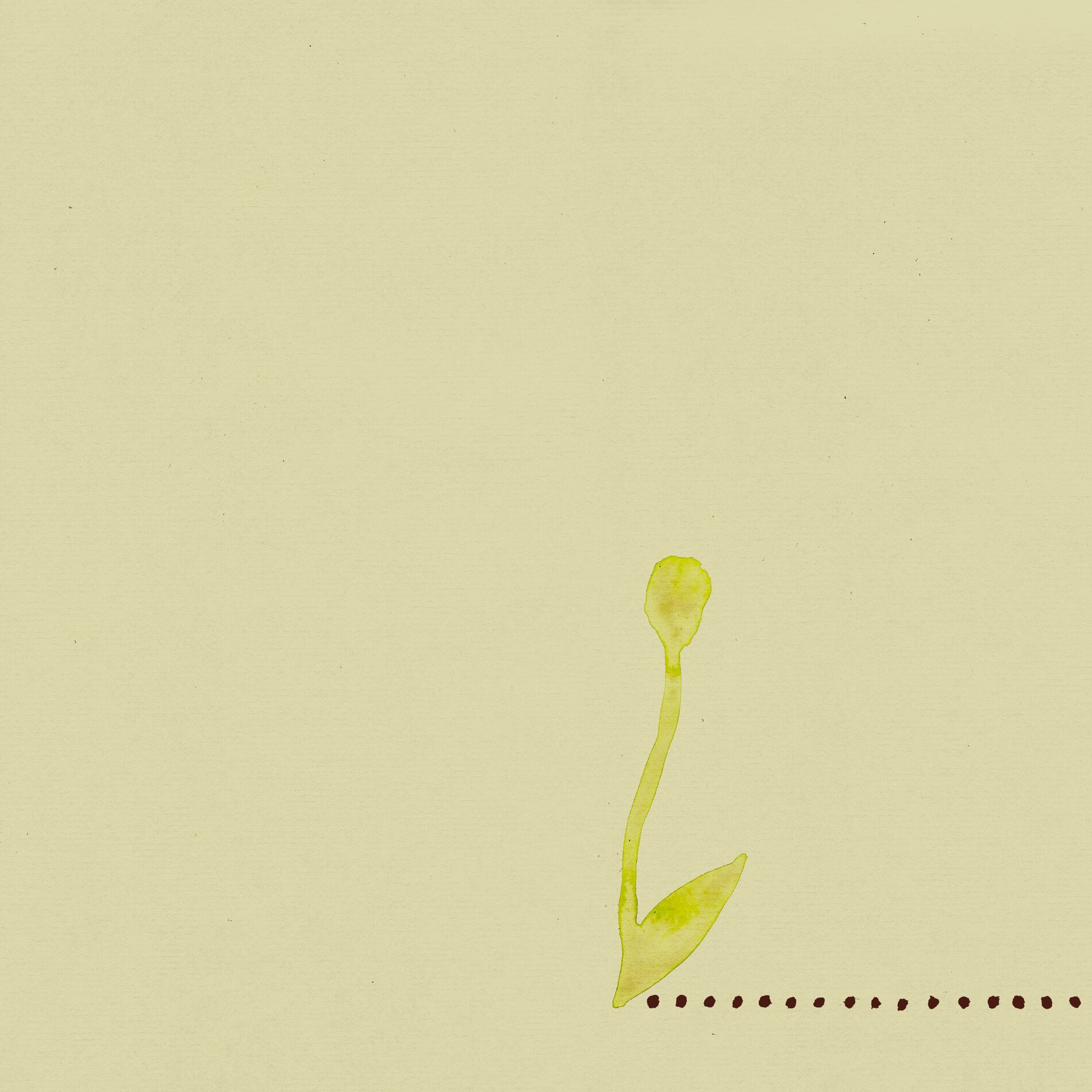 Album cover of The Runner