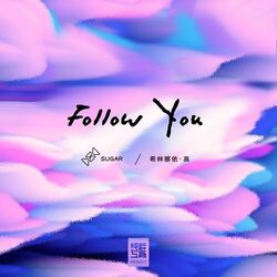 Cover of Follow You
