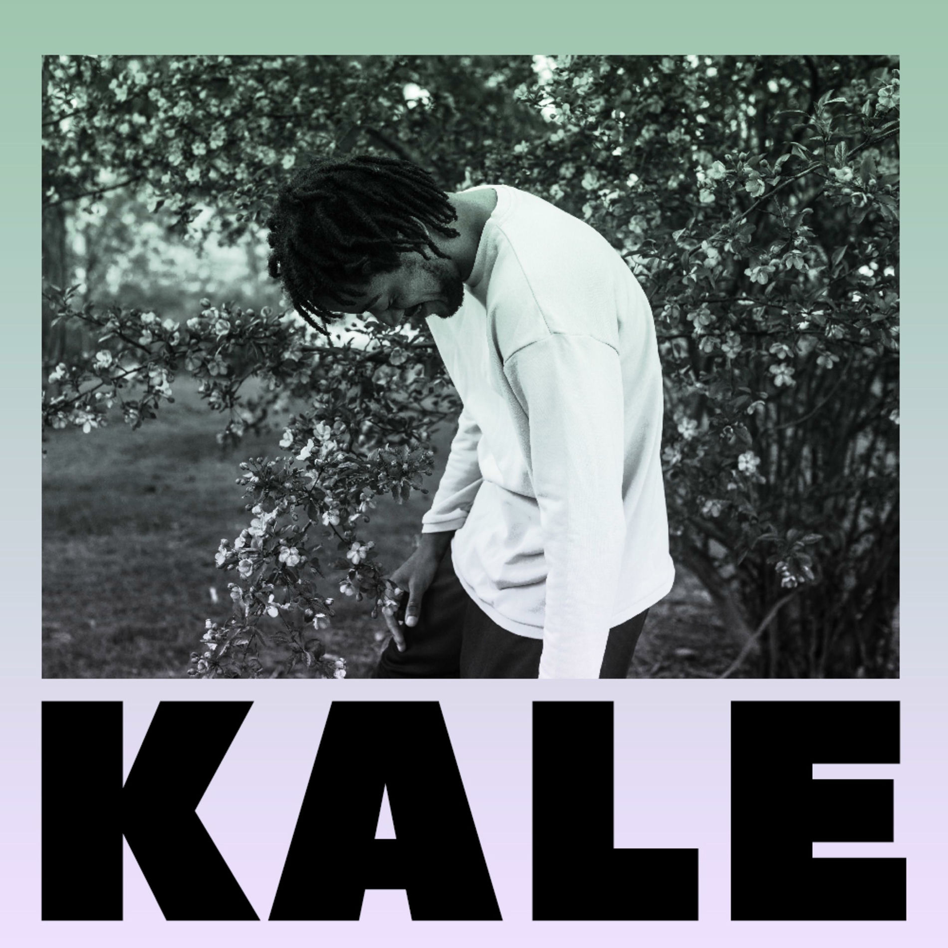 Album cover of Kale (feat. Noname & Supa Bwe)