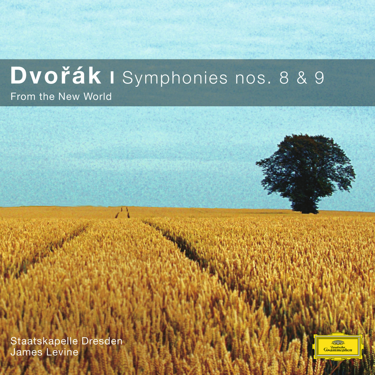 Album cover of Dvorák: Symphonies Nos.8 & 9 
